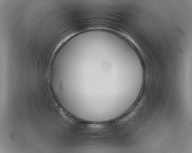 X0000113561145200909181015