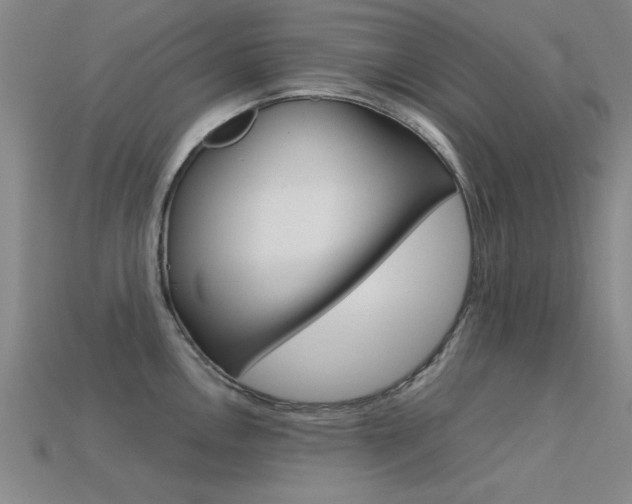 X0000113561146200909181015