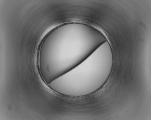 X0000113561147200909181015