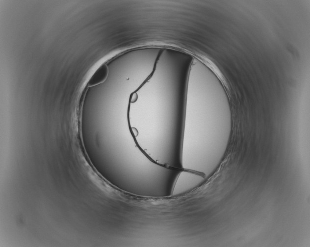 X0000113561148200909181015