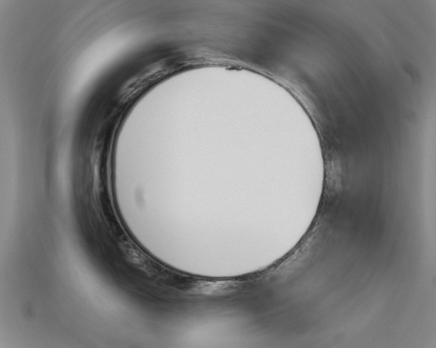X0000113561150200909181015