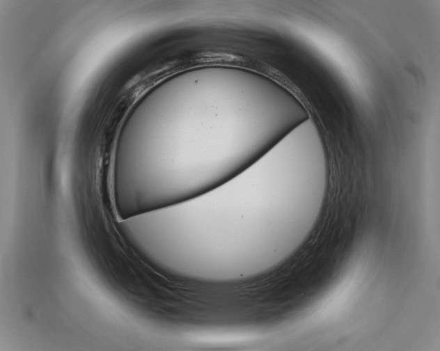 X0000113561151200909181015