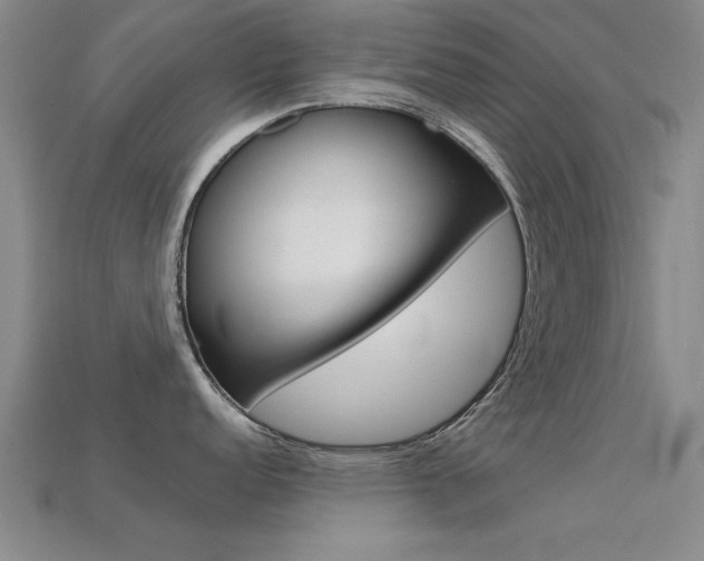 X0000113561152200909181015