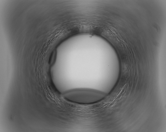 X0000113561153200909181014
