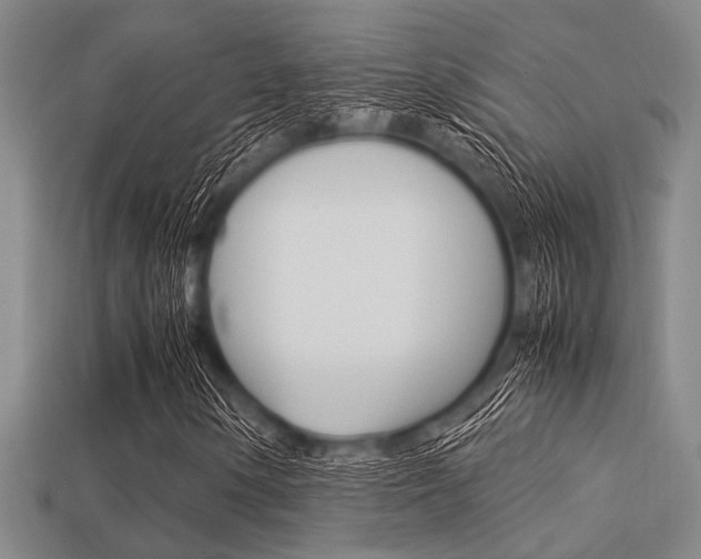 X0000113561154200909181014