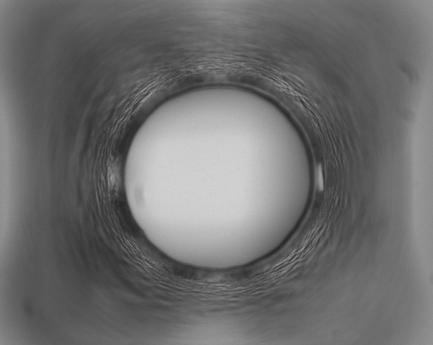 X0000113561155200909181014