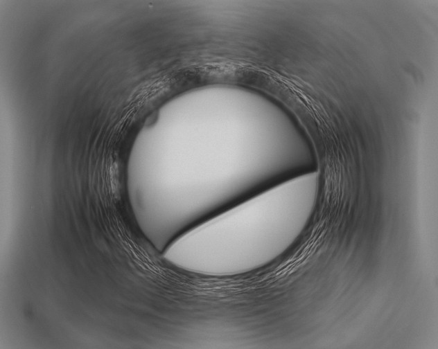 X0000113561156200909181014