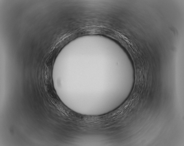X0000113561158200909181014