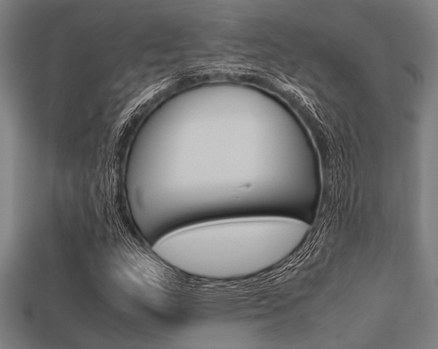 X0000113561159200909181014