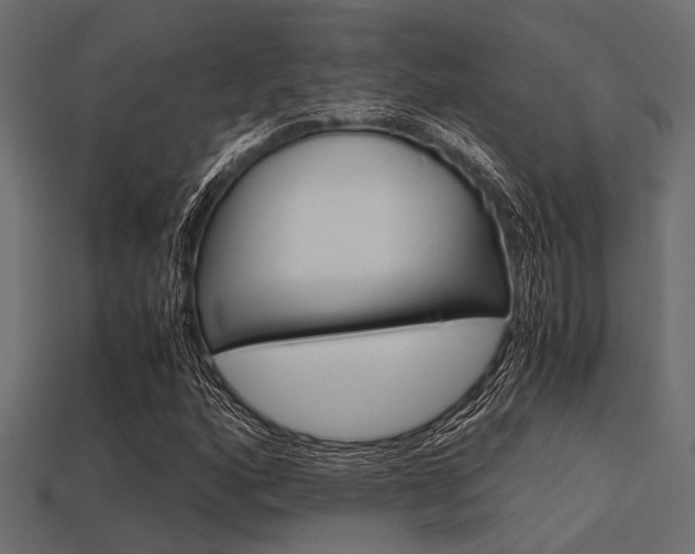 X0000113561160200909181014