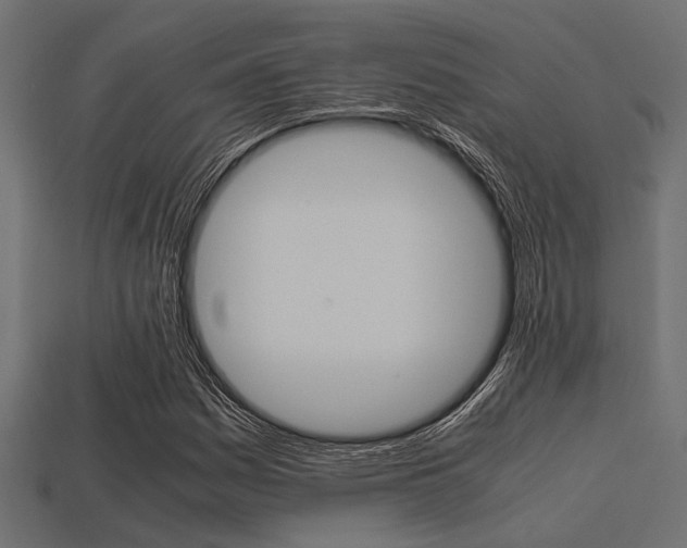 X0000113561161200909181014