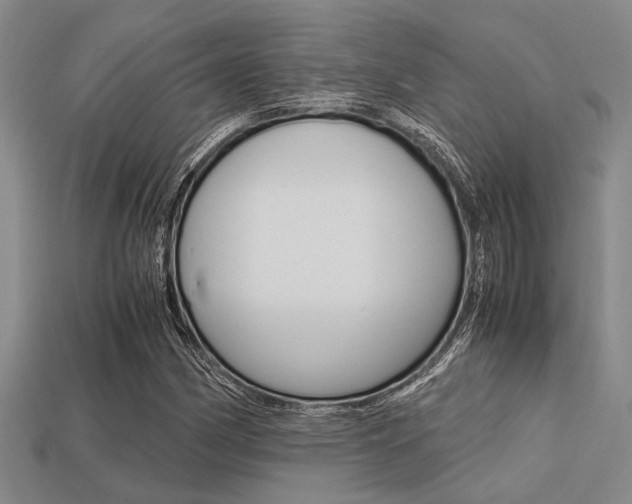 X0000113561162200909181014