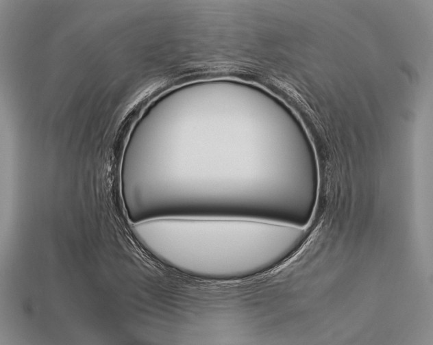 X0000113561163200909181014