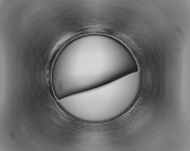 X0000113561164200909181014