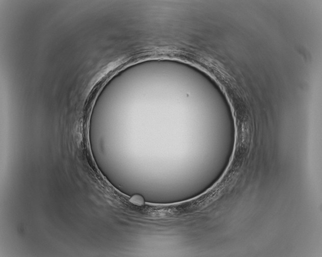 X0000113561165200909181014