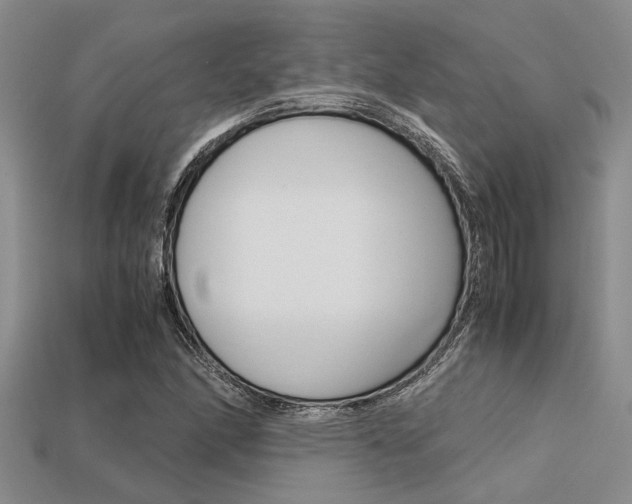 X0000113561166200909181014