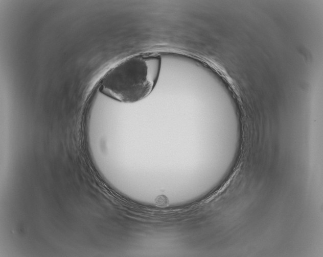 X0000113561167200909181014