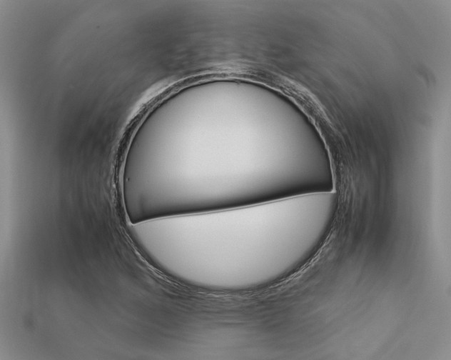 X0000113561168200909181014