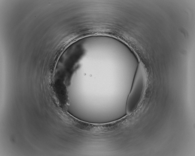 X0000113561169200909181014