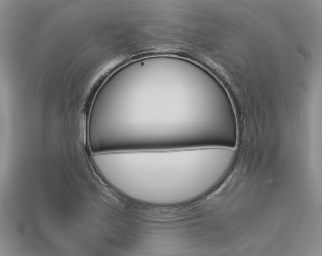 X0000113561171200909181014
