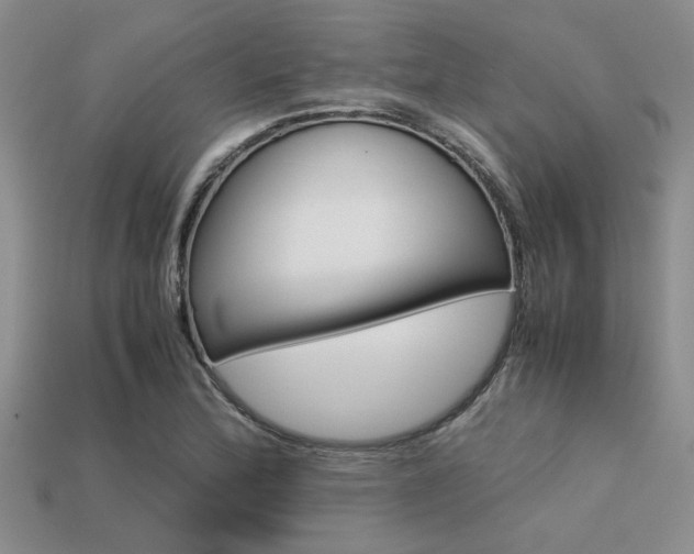 X0000113561172200909181014