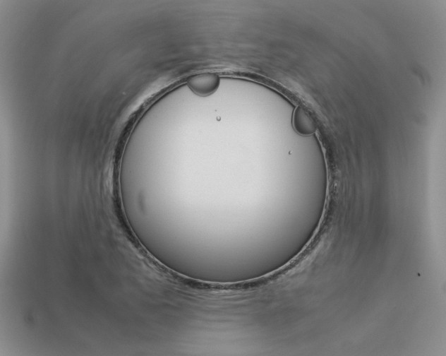 X0000113561173200909181014