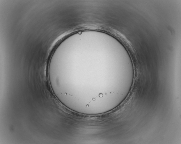 X0000113561174200909181014