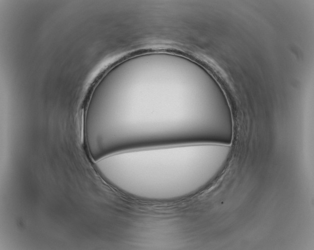 X0000113561175200909181014