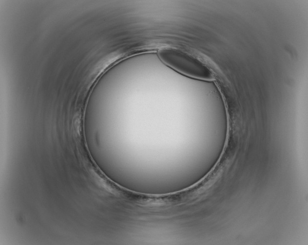 X0000113561177200909181014