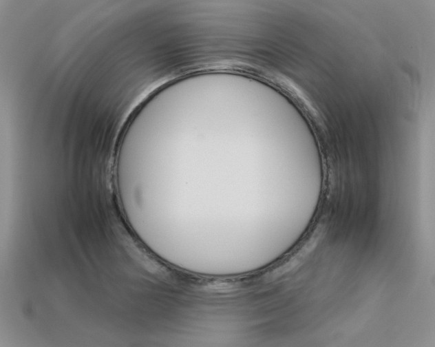 X0000113561178200909181014