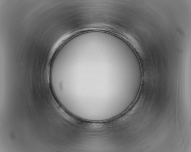 X0000113561180200909181014