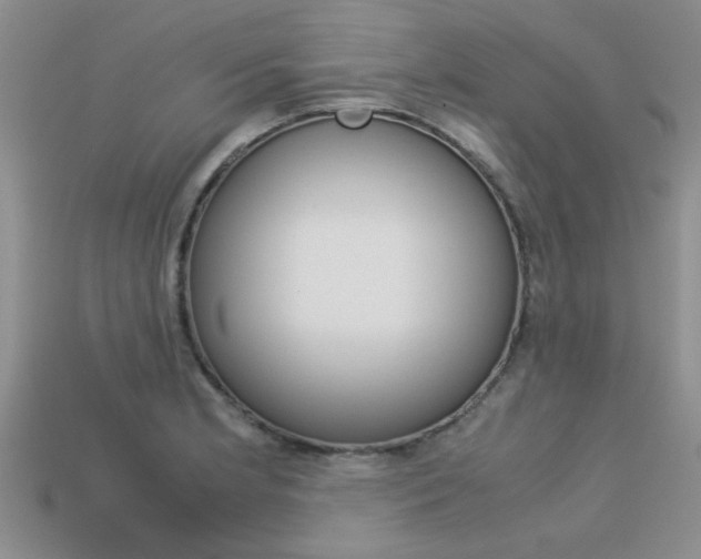 X0000113561181200909181014