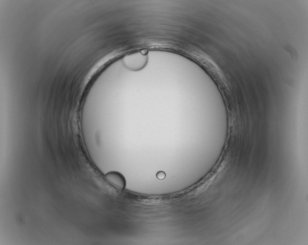 X0000113561182200909181014