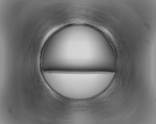 X0000113561183200909181014