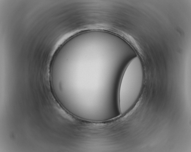 X0000113561184200909181014