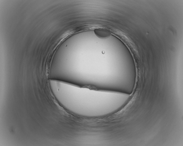 X0000113561185200909181014