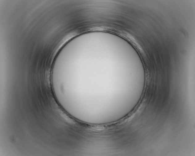 X0000113561186200909181014