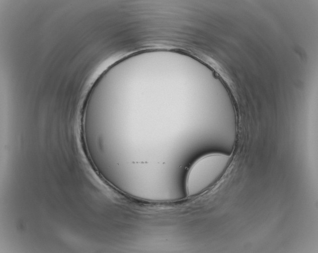 X0000113561187200909181014