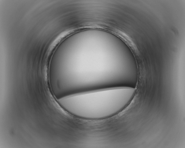 X0000113561188200909181014