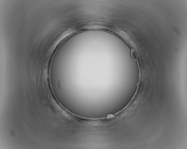 X0000113561189200909181014
