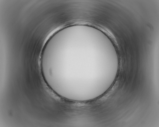 X0000113561190200909181014