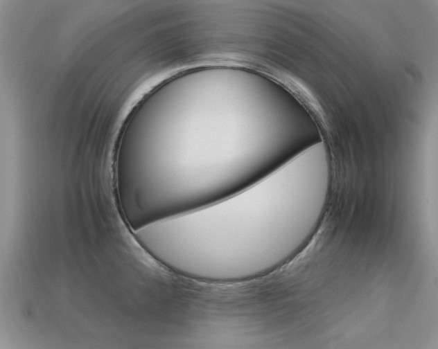 X0000113561192200909181014