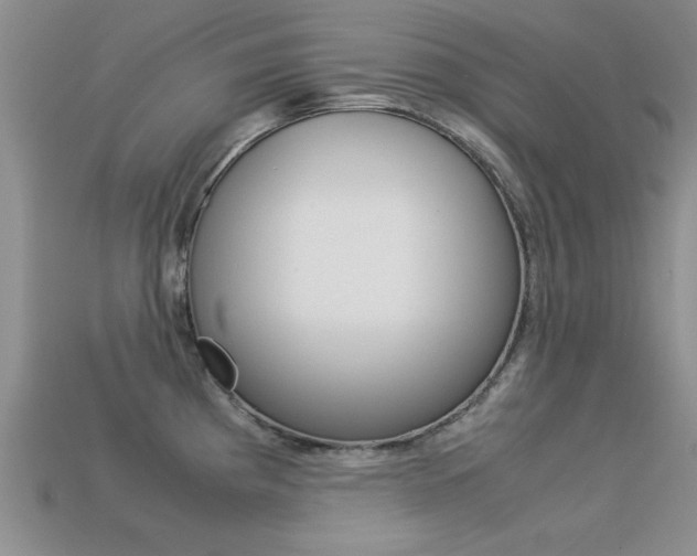 X0000113561193200909181014