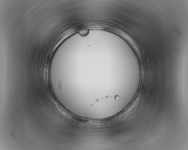 X0000113561194200909181014
