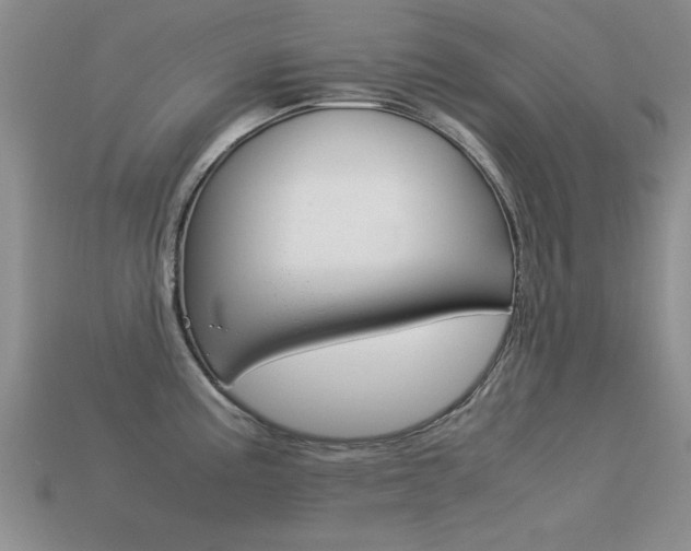 X0000113561195200909181014