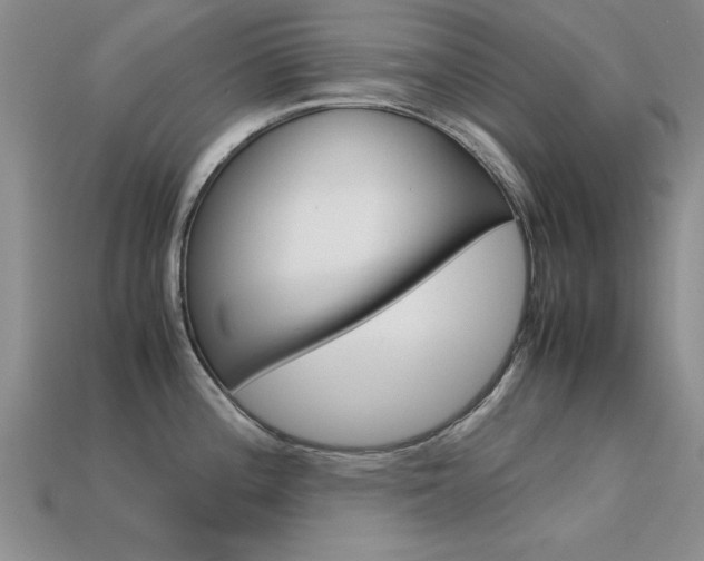 X0000113561196200909181014