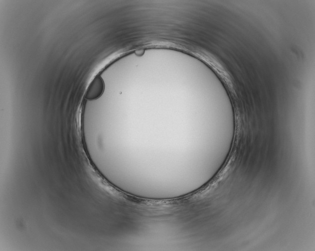 X0000113561198200909181014