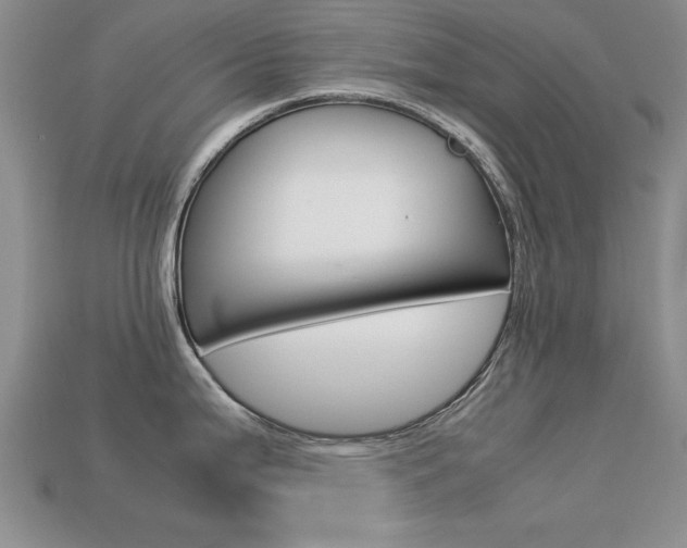 X0000113561199200909181014