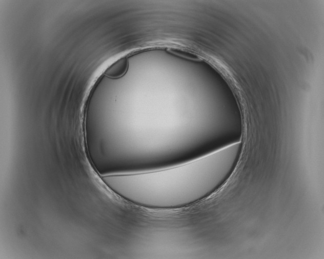 X0000113561200200909181014