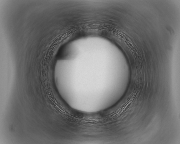X0000113561201200909181013